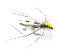 Parachute Longlegs - 10