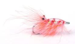 Runars CDC Reke, Orange #6