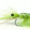 Olive CDC Shrimp #6