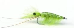 Olive CDC Shrimp #6