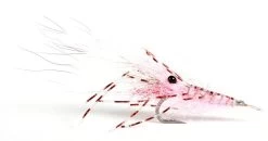 Leoshrimp Pink #6