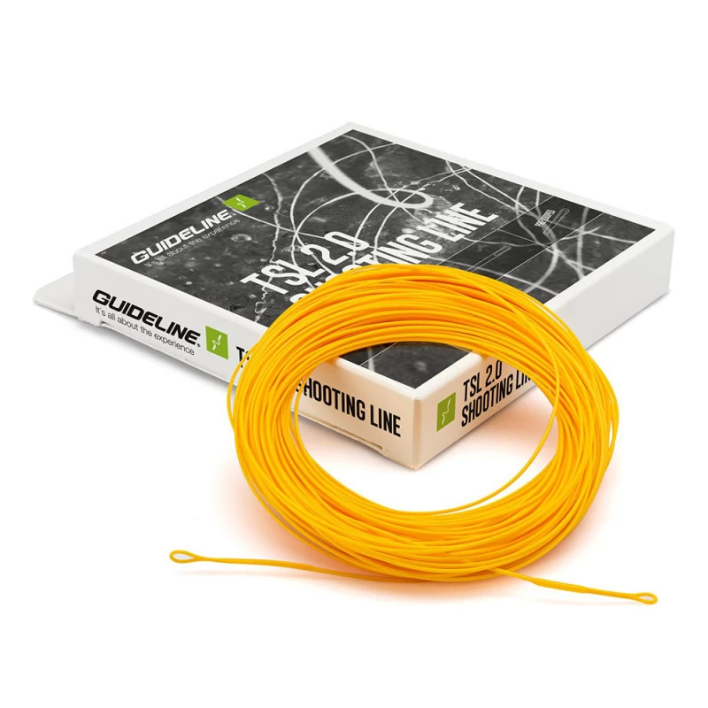 Guideline TSL 2.0 DC 4 Guideline TSL 2.0 DC - Afbeelding 2