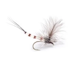 Guideline GL Danica Dun #10