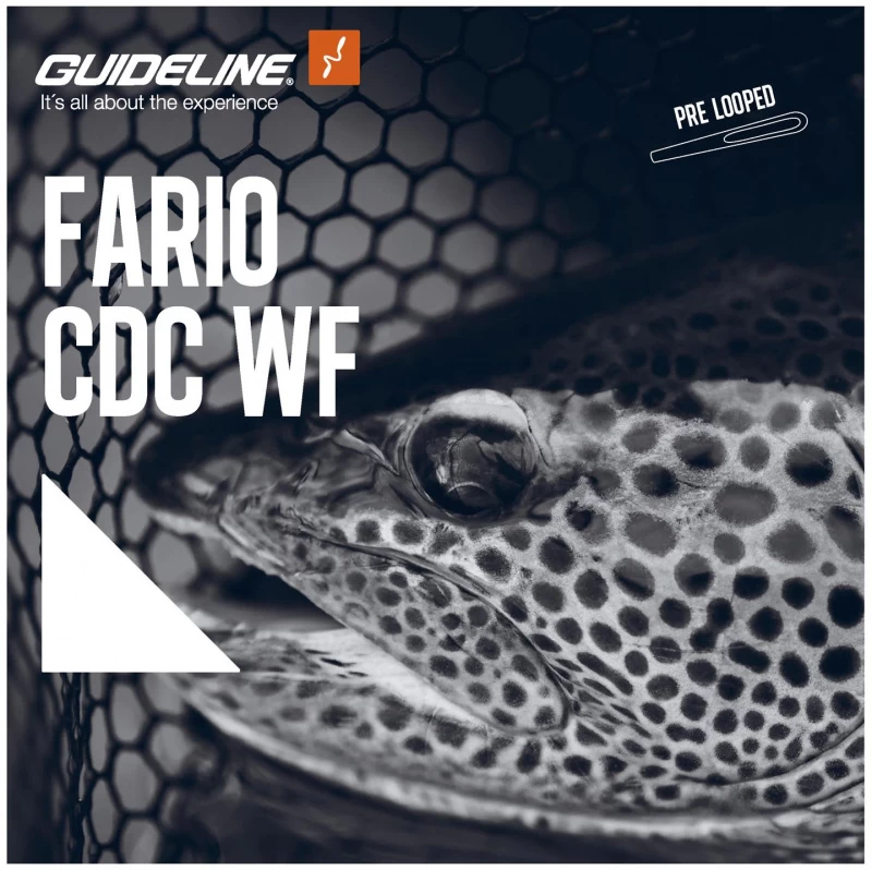 Guideline Fario CDC WF 4 Guideline Fario CDC WF - Afbeelding 2