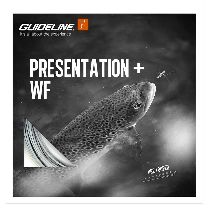 Guideline Presentation+ WF 3 Guideline Presentation+ WF