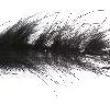Marabou Worm Black Daiichi 3111 #6 1 Marabou Worm Black Daiichi 3111 #6 -Kortingen Op Vliegvisuitrusting FL24001 1