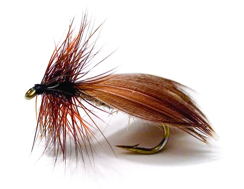 Nattländer Brown TMC 2302 #12 3 Nattländer Brown TMC 2302 #12