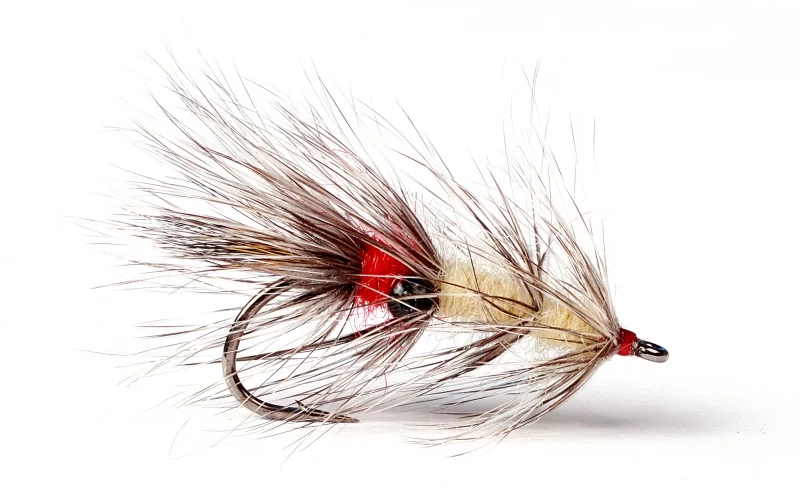 Vaskebjørn 3 Vaskebjørn