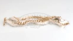 Hareline Brown Br Magnum Strips